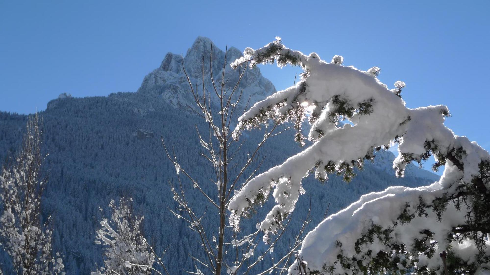 Villa Gemmy Pozza di Fassa Exterior photo